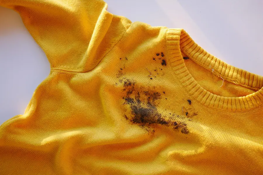 Penyebab dan Cara Menghilangkan Jamur di Baju dengan Air Panas agar Bersih Lagi